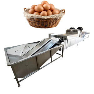 Industrial Motor Egg Washing Machine Cleaning Grading Packing Printing Drying Sterilizing Functions 500pcs/min Capacity - Product Image 1