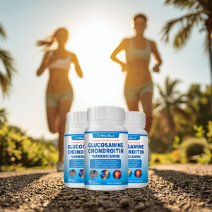 Santé Osseuse Glucosamine Chondroïtine Msm Capsules Force des articulations Supplément végétal à base de plantes Cartilage Pilules de mobilité des articulations - Product Image 1