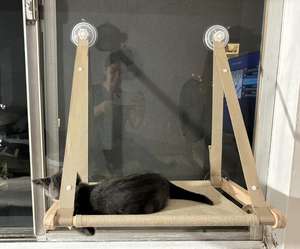 Hamac de fenêtre <span class=keywords><strong>pour</strong></span> chat, intérieur, <span class=keywords><strong>en</strong></span> bois, housse lavable <span class=keywords><strong>en</strong></span> machine, pliable, perchoir de fenêtre <span class=keywords><strong>pour</strong></span> chat - Product Image 4