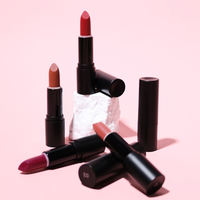 Make Your Logo Rouge à Lèvres Rose Hydratant Nude Private Label Batom Labiales Rouge à Lèvres Mat Longue Durée Imperméable