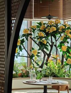 Arbre <span class=keywords><strong>Plumeria</strong></span> Artificiel Décoratif avec Pot Arbre Artificiel Tropical Plantes de Décoration de Mariage - Product Image 4