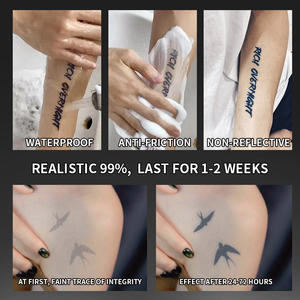 Juego de tatuajes temporales de golondrina <span class=keywords><strong>Tatuaje</strong></span> semipermanente Impermeable y a prueba de sudor Duradero 2 semanas Brazo antifricción herbal realista - Product Image 6