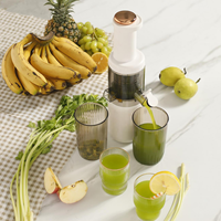 Aangepaste Fabriek Direct Sap Extractor Mini Draagbare 0.3l Elektrische Fruit Citroen Citrus Sinaasappel Koude Pers Slow Juicer