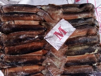 Revendeur de fruits de mer glacée,, prix en gros chinois, avec r de calmar, importé