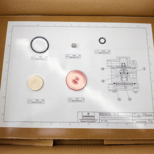 ชุดอะไหล่บำรุงรักษาปกติของ Original Regulator Technologies SA/2 รุ่น M2200250X12 - Product Image 6