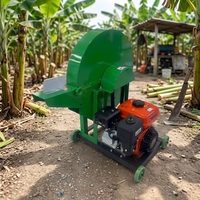 Hachoir Électrique 220V Multifonctionnel pour Bananes, Pailles de Maïs et Feuilles de Bananier – Machine de Traitement des Aliments par Pétrissage et Découpe