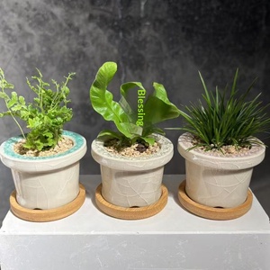 Macetas de Cerámica Minimalistas con Acabado Glaseado Efecto Grieta de Hielo <span class=keywords><strong>para</strong></span> <span class=keywords><strong>Cactus</strong></span> <span class=keywords><strong>y</strong></span> Plantas Verdes, Macetas Pequeñas de Mesa <span class=keywords><strong>para</strong></span> Flores - Product Image 2