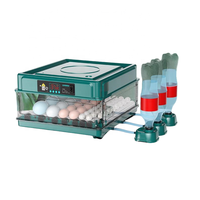 Bon équipement électrique multifonction automatique capacité des œufs incubateur facile à utiliser couveuse en plastique pour éclosoir de poulet