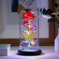 AYOYO ODM Rose avec lumière LED dans un dôme en verre, cadeau pour la fête des mères, décoration d'anniversaire, fleur