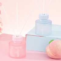 Ensemble d'aromathérapie, diffuseur d'huiles essentielles pour la maison, bouteille en verre de 100 ml, diffuseur de parfum de luxe, rafraîchisseur d'air pour la maison, la voiture, le bureau, l'hôtel