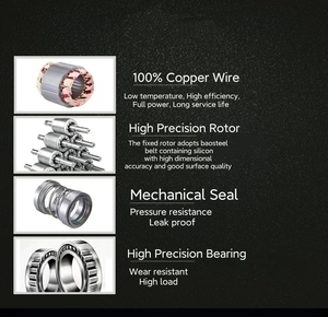 QDX 0.75HP 0.55KW QDX Submersible <strong>Pump</strong> 220V Outlet 2 Inch Submersible <strong>Pump</strong> <strong>Electric</strong> Submersible <strong>Water</strong> <strong>Pump</strong> for Pond - Product Image 4