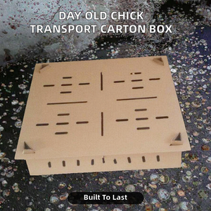 YOUMU Nuevas Cajas de Transporte para Pollitos de un Día, Jaulas de Cartón Perforado para Pollos - Product Image 2