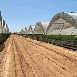 Serre tunnel multi-travées durable et robuste avec couverture anti-UV pour légumes - Product Image 6