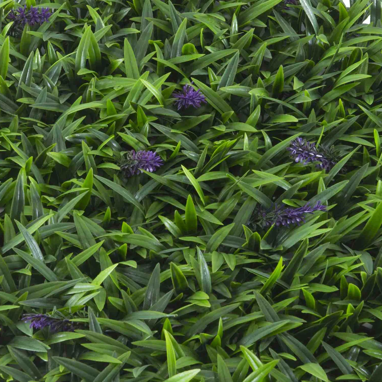 공장 직접 판매 클래식 수직 정원 관상용 식물 잔디 가짜 단풍 녹색 벽 개인 정보 보호