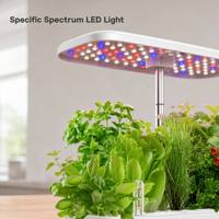 Jardinière hydroponique domestique avec 12 modules et éclairage LED à spectre spécifique, alimentation AC/DC pour la culture de plantes d'intérieur