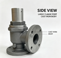 Válvula de Presión Mínima de Alta Calidad Red Star MPV-25 MPV-50FMPV-65 MPV-80 Compatible con Compresores de Tornillo Universales