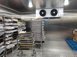 <span class=keywords><strong>ตู้</strong></span>แช่ไอศครีมอุปกรณ์สำหรับทำผักสดอุปกรณ์เพาะเห็ด - Product Image 6