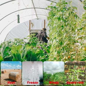 Film plastique transparent pour serre, 6 mil, en polyéthylène, pour couverture de serre et protection des plantes - Product Image 6