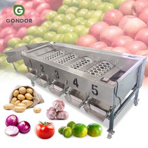Machine de calibrage et de tri des fruits (myrtilles, cerises aigres, tomates industrielles, oignons, carottes, pommes de terre) et de lavage et de cirage - Product Image 1
