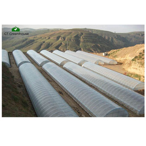 <span class=keywords><strong>Serre</strong></span> tunnel en plastique UV à simple portée de 8 m <span class=keywords><strong>x</strong></span> 40 m, 200 microns, pour les légumes - Product Image 4