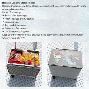 Chariot de courses pliable personnalisé avec dessins animés, roues en PU de 4 pouces, grande caisse de rangement pour enfants de 6 à 12 ans, utilisation intérieure et extérieure - Product Image 2