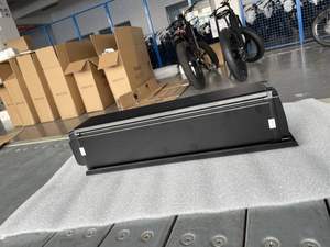 Vélo électrique à pneus larges longue portée 48v 750W 1000W, transmission par <span class=keywords><strong>courroie</strong></span>, nouveau <span class=keywords><strong>moyeu</strong></span> <span class=keywords><strong>Rohloff</strong></span> 14 vitesses, vélo électrique - Product Image 6