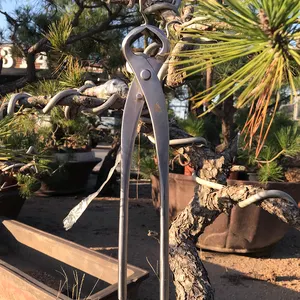 Экономичные ручные ножницы большого размера 290 мм, шаровые ножницы, садовые инструменты, ножницы для обрезки деревьев, инструмент для бонсая ryuga lopper
