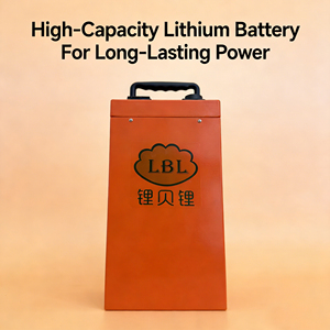 Аккумулятор LiFePO4 60В 50Ач для электромобилей (версия для замены) (<span class=keywords><strong>2</strong></span>-колесные/<span class=keywords><strong>3</strong></span>-колесные), со встроенной BMS, высокая долговечность и прямые поставки с завода - Product Image 1