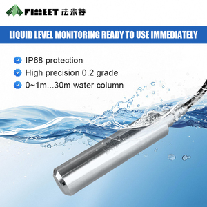 Industrial Stainless Steel <strong>Submersible</strong> <strong>Level</strong> Gauge IP68 Protection High Precision 0-10m 12-28VDC <strong>Oil</strong> Fuel <strong>Level</strong> Measurement - Product Image 2