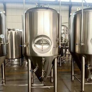 Tanque de Fermentación Cónico Tonsen de 5bbl, 10bbl, 20bbl con Puerta Lateral para Fermentación de Cerveza - Product Image 5