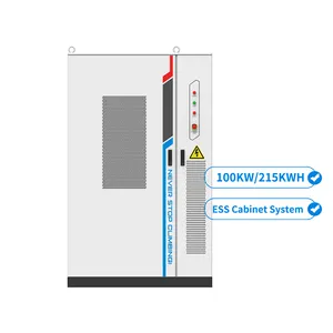 Lovsun Solarstromspeicher 100 kW ESS 215 kWh Batterie All-In-1 Industrie- und kommerzieller Freiluft-Schrank Energiespeichersystem BESS