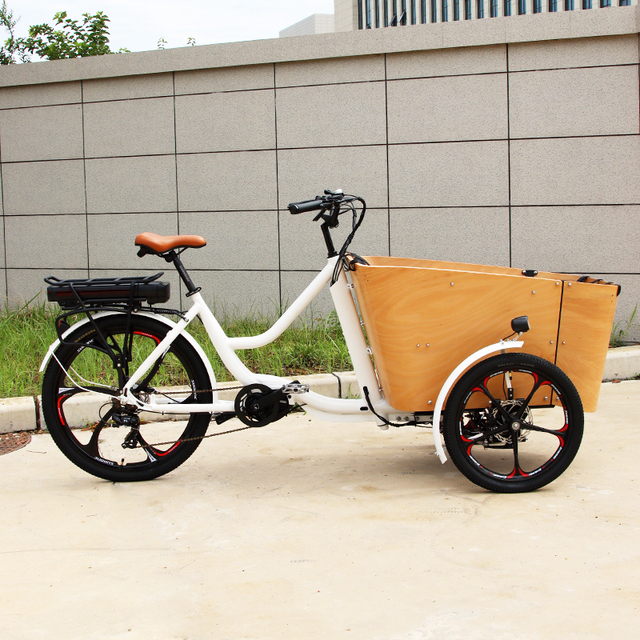 Mid-motor Alloy Frame Cycle Heavy Duty E Trike Dutch Cargo E-bike Bicycle E Bike Bakfiet Electric 3 Wheels Family Cargo Tricycle