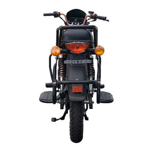 Motocicleta Eléctrica de Largo Alcance para Pasajeros y Carga, para Entregas y Uso Familiar - Product Image 5