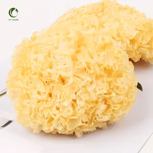 فطر الثلج Tremella المجفف Tremella فطر الثلج بالجملة