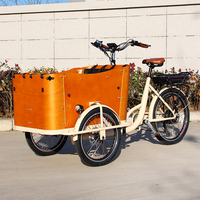 Vélo à 3 roues CE 250W 350W 500W avec boîte à bagages, tricycle électrique hollandais, vélo familial à 3 roues, 4 places, siège bébé