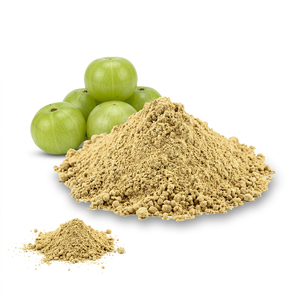 Fournisseur en gros de poudre de fruit d'Amla en provenance d'Inde - Product Image 1
