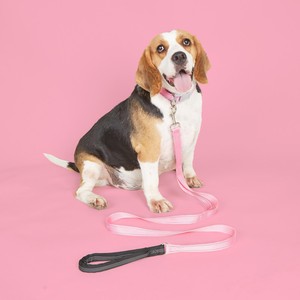 Precio de Fábrica Pami PA-10 Collar Moderno y Elegante para Mascotas, Ajustable, Impermeable, Cómodo, Color Rosa, con Cierre de Botón y Campana - Product Image 3