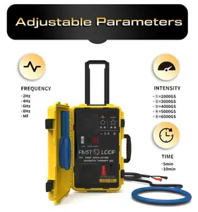 6000GS Telsa elektro magnetisches Feld PEMF Magnetfeld Schmerz gerät