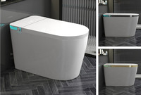 Vente directe d'usine de nouveaux appareils sanitaires en céramique cuvette de siège de toilette intelligente montée sur le sol pour WC