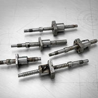 Conjunto de Tornillo de Bola Lineal CNC de Alta Precisión, Trapezoidal, de Acero Inoxidable Personalizado para Equipos de Automatización