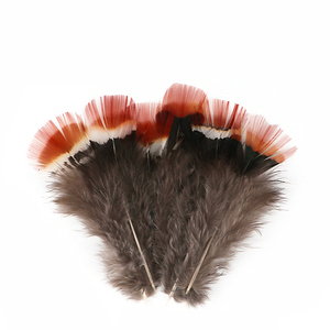 Piume di Fagiano Amherst Rosse Economiche all'Ingrosso, 5-10cm, Lavate con Motivi Decorativi per Artigianato e Cappelli - Product Image 5