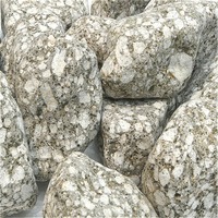 Billes de céramique multi-étages en maifanite naturelle pour plantes succulentes, filtre à eau, minéral alcalin faible, maifan non métallique