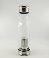 Bouteilles d'eau sportives en verre réutilisables personnalisées avec logo, infuseur en acier, couvercle métallique, résistantes aux fuites, compatibles lave-vaisselle et micro-ondes