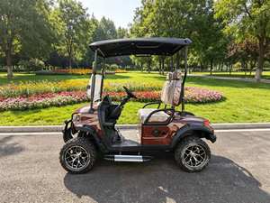 Carrito de Golf para 2 Personas, Operación Sencilla, Asientos Espaciosos, Carro de Golf Resistente para Clubes de Golf y Villas, para Carreteras No Públicas - Product Image 2