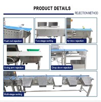Báscula de Control de Peso de Alta Velocidad de Acero Inoxidable para Líneas de Producción Industriales de Snacks, Dulces, Panadería y Bebidas