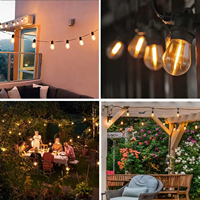 Ampoule LED à filament S14 Edison blanc chaud 2700K transparente E27 Lustre personnalisée pour culture, jardin, extérieur, guirlande lumineuse télécommandée
