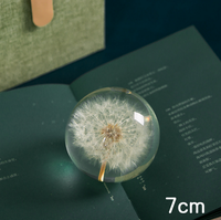 Presse-papiers en résine 3D personnalisé de 7 cm, 8 cm, 9 cm, avec fleur naturelle et pissenlit véritable, pour cadeaux de Noël, décoration intérieure en verre cristal