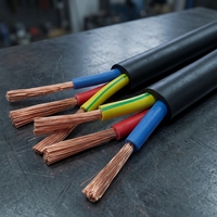 IEC 60227 RVV 2-adriges 1,0mm² H05VV-F Flexibles Kupferkabel mit PVC-Isolierung, Runddraht