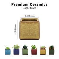 Design carré personnalisé 6 pièces paquet glaçure de fissure de glace coloré bonsaï pots de plantes décor à la maison en céramique succulente jardinière Pot de fleur
