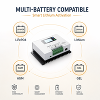 Controlador de Carga Solar MPPT YILIE 12V 24V 260W 520W, Regulador Automático para Baterías de LiFePO4, Gel y Plomo-Ácido, Venta al Por Mayor de Fábrica